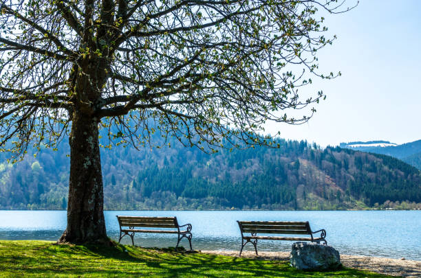 istock schliersee lake in bavaria 960167000
