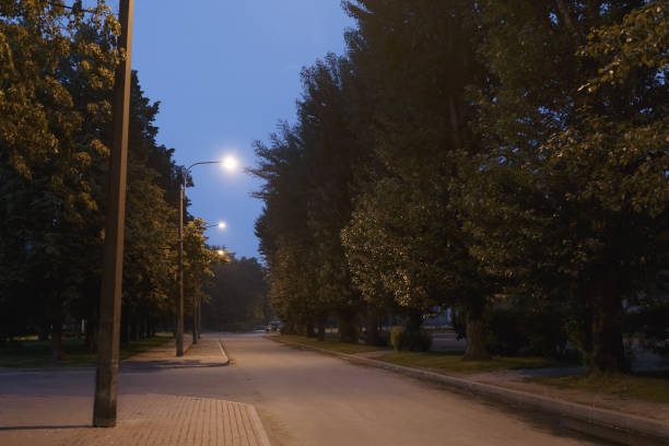 walking trail in the evening summer park.