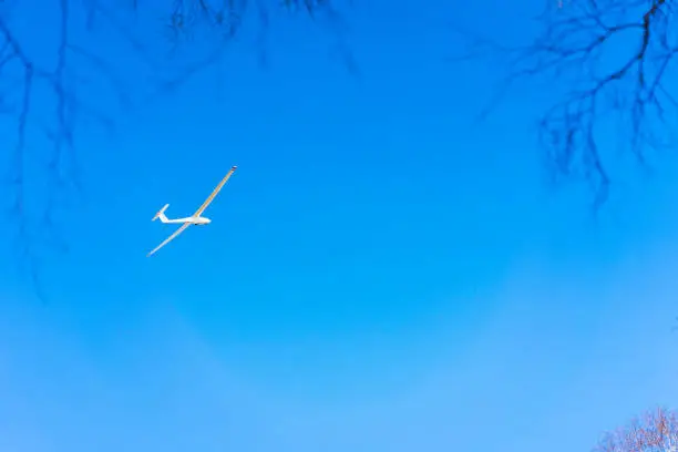 Photo of Pure white Glider in clear blue sky flying over the treetop. Concept of success, achievement of high goal