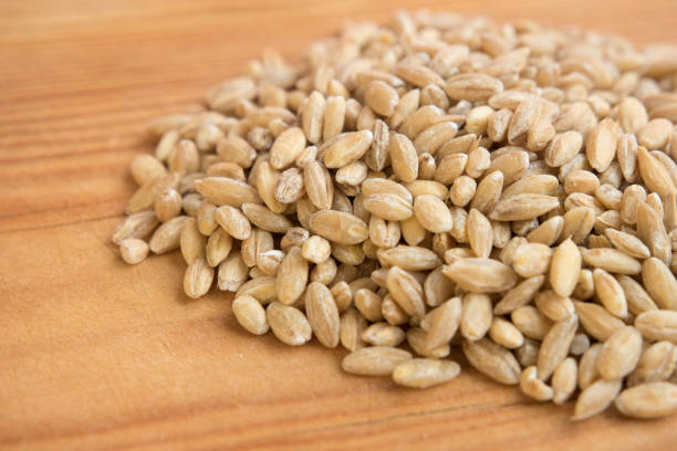 stack of barley pearl in wooden background. stock photo