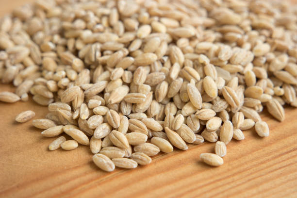 pile of barley pearl in wooden background. stock photo