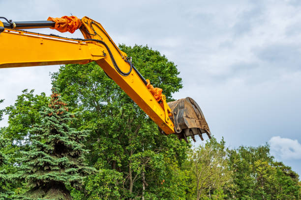 istock excavator in city during earthmoving works 960177246