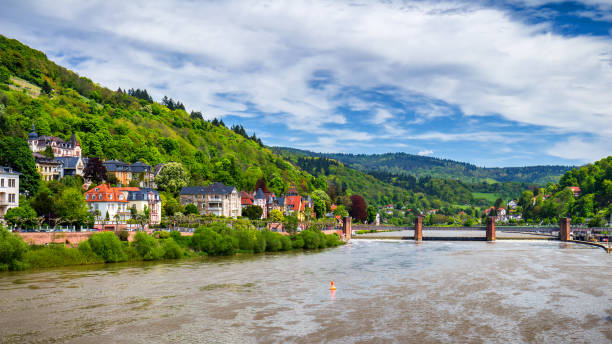 istock View of beautiful medieval town Heidelberg, Germany 960177812