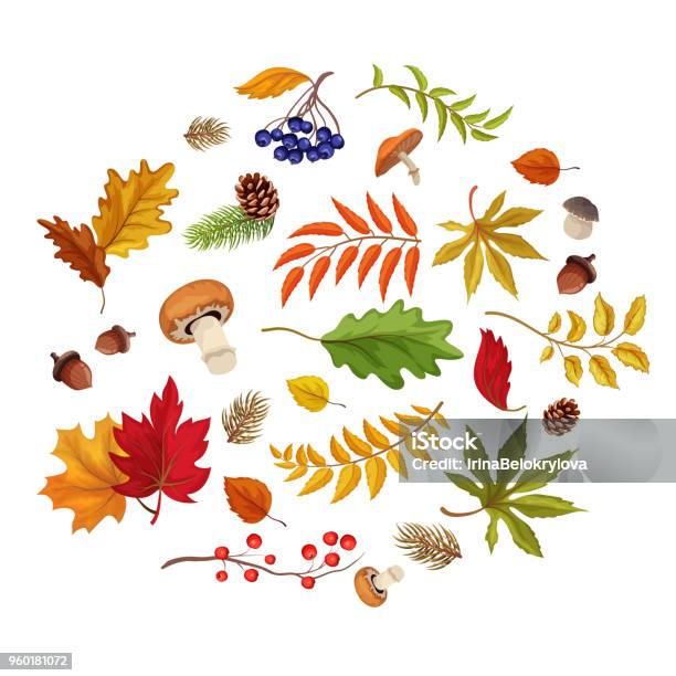 Vector Sketch Autumn Forest Symbol Set Stock Illustration - Download Image Now - Abstract, Acorn, Aspen Tree