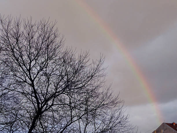 istock Rainbow over the tree from the house roof 960181816