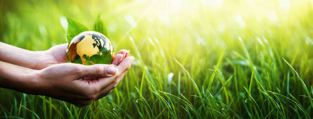 istock Green Planet in Your Hands. Environment Concept 960189734