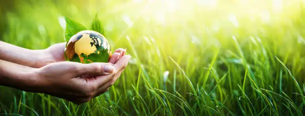 Photo of Green Planet in Your Hands. Environment Concept