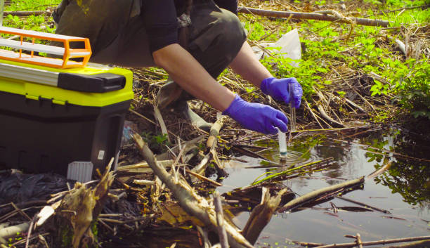 istock Scientist ecologist in the forest taking samples of water 960190198