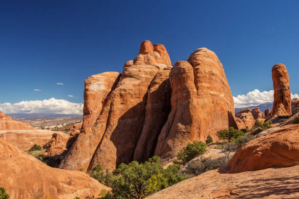 istock Delicate arch in Arches National Park in Utah, USA 960200426