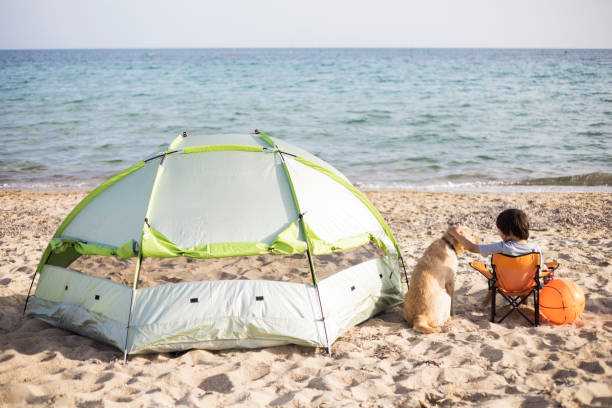 istock The boy and his dog is camping on the beach 960208074