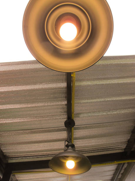 istock Hanging Two Black Lamp with Aluminum heat shield 960213486