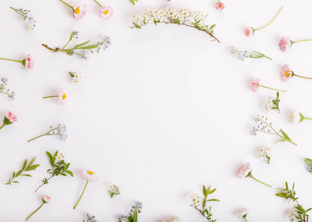 istock Festive flower composition on the white background. Overhead view 960216536