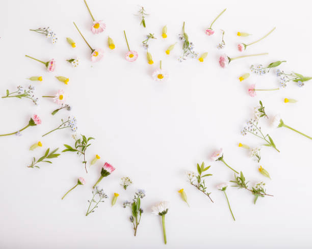 istock Festive flower composition on the white background. Overhead view 960216606