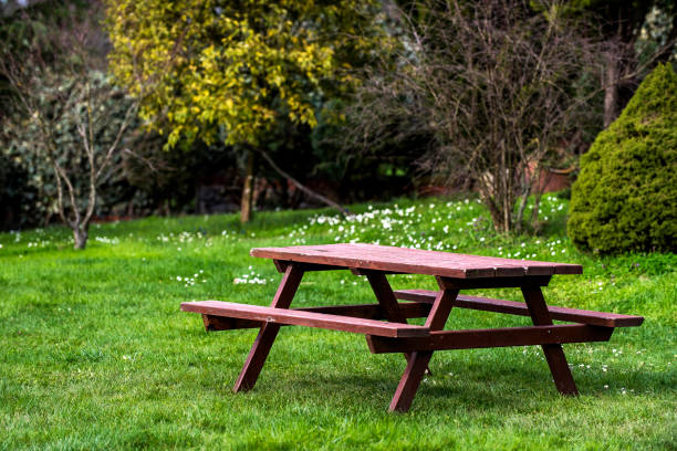 istock Wooden picnic table and bench in garden 960216622