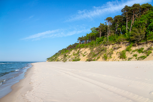 Polish Baltic seashore with cliff in Wolinski National Park in around the city Miedzyzdroje