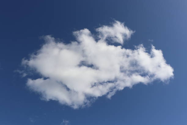 漁師の夢雲の形をした魚 - 雲のベクターアート素材や画像を多数ご用意