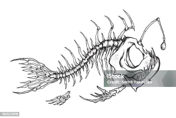 Angler Fish Skeleton Mascot Stock Illustration - Download Image Now - Anglerfish, T-Shirt, Design