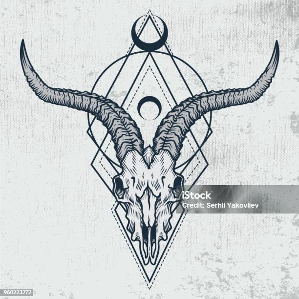 Goat Skull In Ink Graphic Technique Stock Illustration - Download Image Now - Skull, Goat, Tattoo