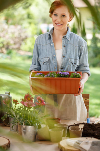 istock Smiling woman holding box 960228128