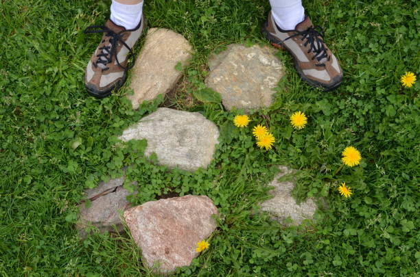 istock Woman's feet on stones, dandelions 960230866