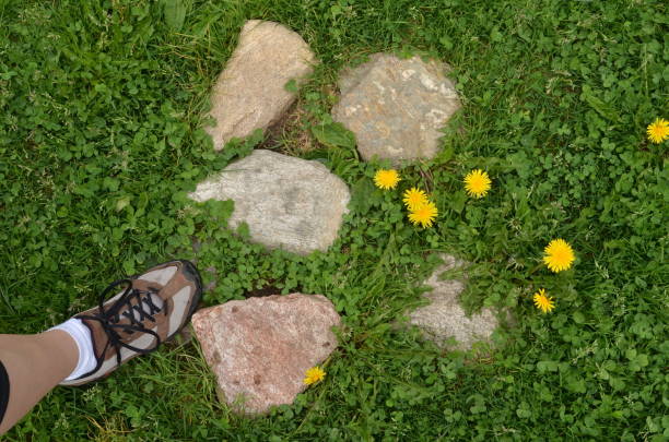 Above view on woman's foot in hiking shoe standing on green grass near stones and blooming dandelions