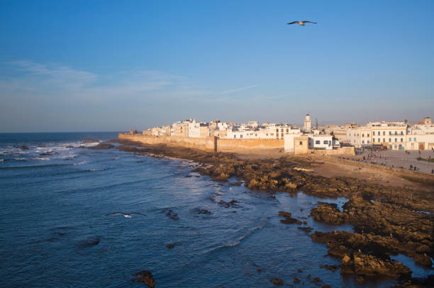 istock Essaouira Fortress, Morocco 960231748