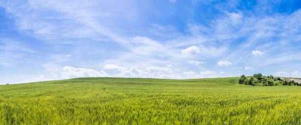istock Panoramic view of farmland day 960232216
