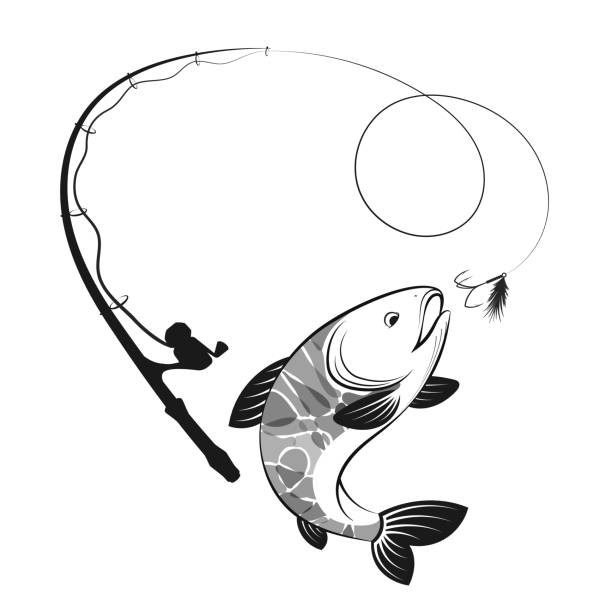 ilustraciones, imágenes clip art, dibujos animados e iconos de stock de peces y caña siluetas - pesca con mosca ilustraciones