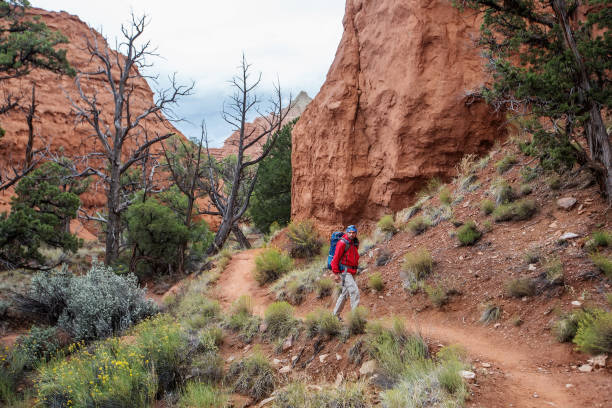 istock Hiker in Kodachrome Basin state park in Utah, USA 960240280