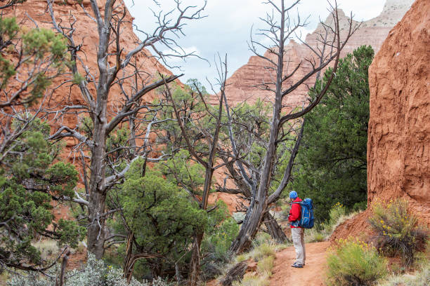 istock Hiker in Kodachrome Basin state park in Utah, USA 960240288