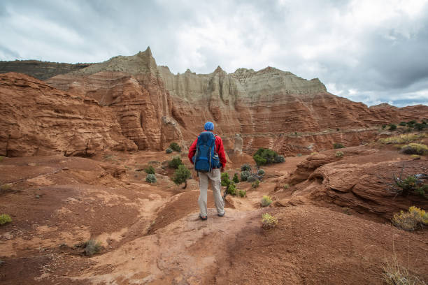istock Hiker in Kodachrome Basin state park in Utah, USA 960240360