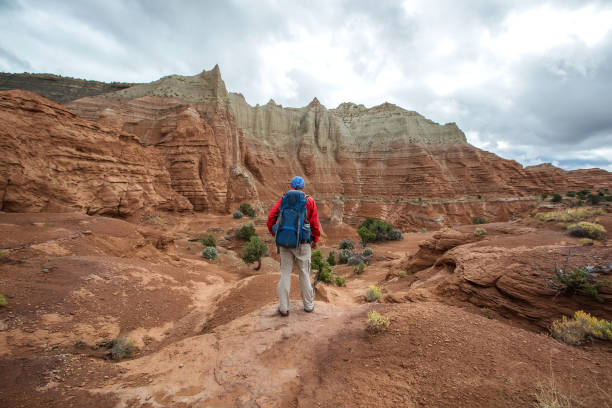 istock Hiker in Kodachrome Basin state park in Utah, USA 960240368