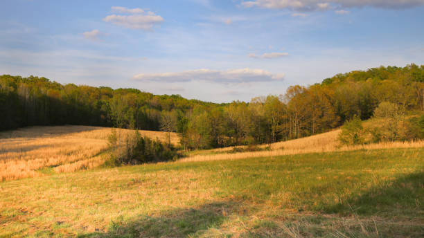 istock Rural Tennessee Farm Tall Grass Rolling Hills Field Landscape 960240790