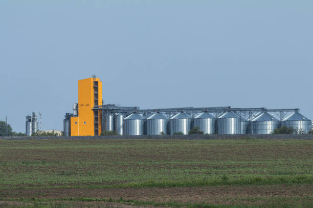istock Row of granaries for storing wheat and other cereal grains 960249402