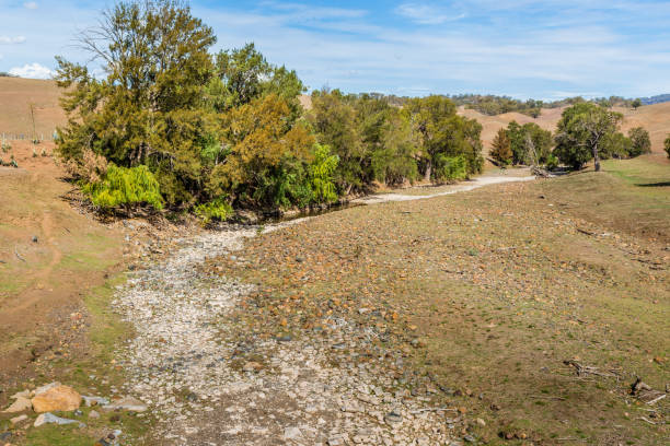View of the Pages River, Gundy, NSW, Australia, during the  drought in February 2018, showing the dry river bed.