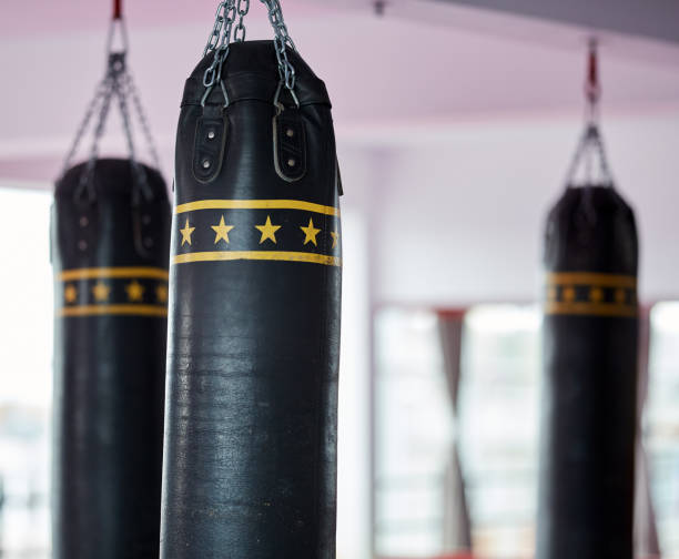 istock Punch bags in the gym 960256114