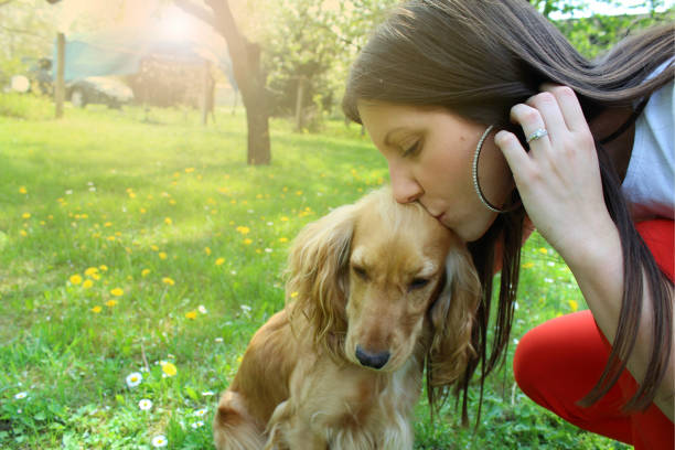 istock Love between dog and women. 960259334