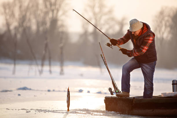 istock Fisherman draws out fish from cold water on winter 960259442