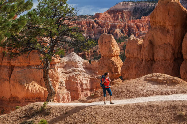 istock Hiker visits Bryce canyon National park in Utah, USA 960261002