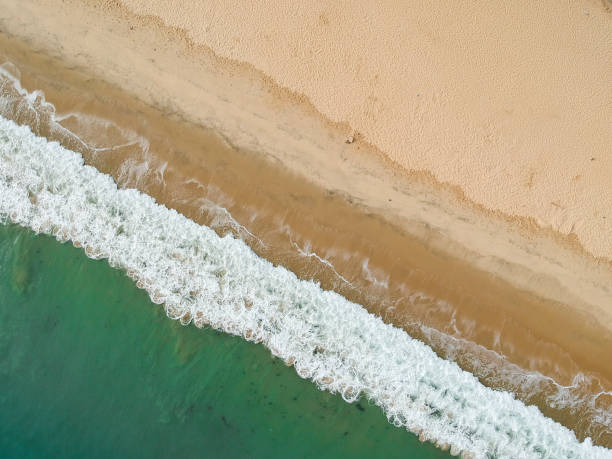 istock Aerial view of a tropical beach 960261418