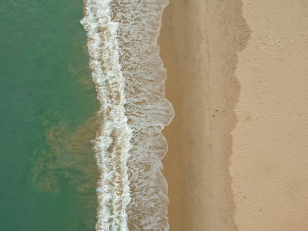 istock Aerial view of a tropical beach 960261450