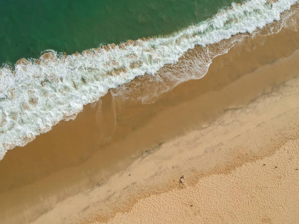 istock Aerial view of a tropical beach 960261452