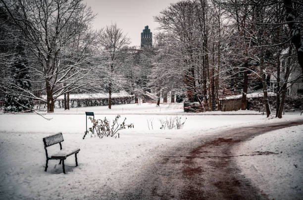 Park Rosenhoehe, Darmstadt in winter