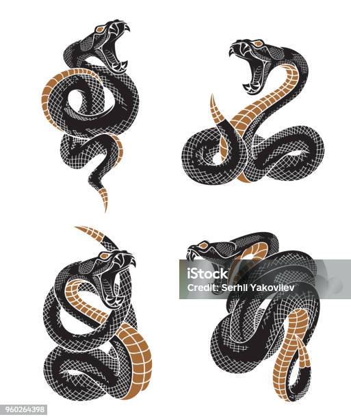Jeu De Serpent Vipère Vecteurs libres de droits et plus d'images vectorielles de Serpent - Serpent, Tatouage, Crotale - Vipère à fossettes faciales