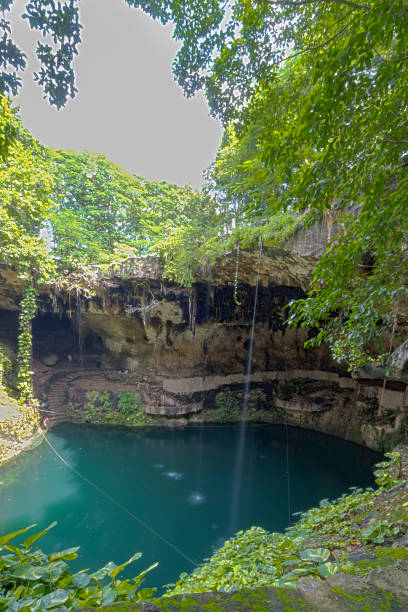 istock refreshing natural pool in the jungle 960264888