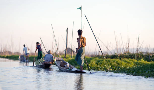 jardim flutuante no lago inle no estado de shan, myanmar - inle lake agriculture traditional culture farmer - fotografias e filmes do acervo