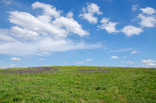 istock green field under the sky with clouds 960269912