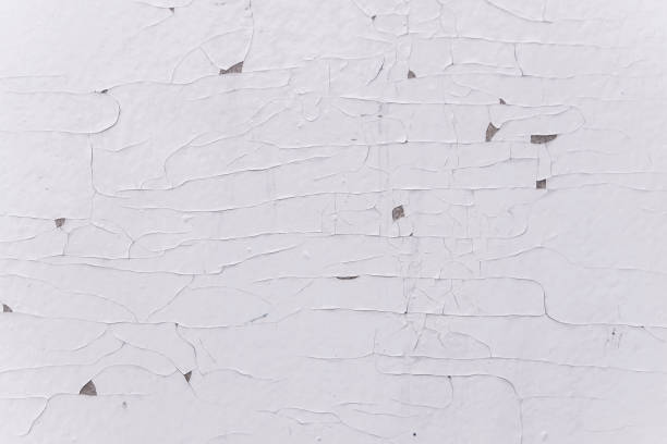 istock Grunge wood wall pattern. The white wood texture with natural patterns. 960272880