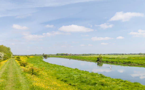 istock River Hull on a fine spring morning, Beverley, Yorkshire, UK. 960274348