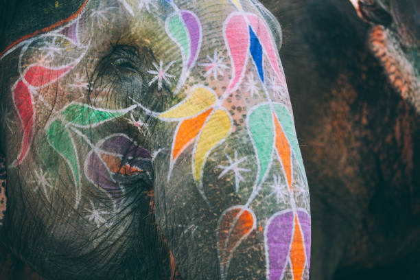 istock Colourful elephant painted and decorated. Jaipur, Rajasthan, India 960282446